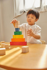 Colored Counting Blocks - Unit Plus