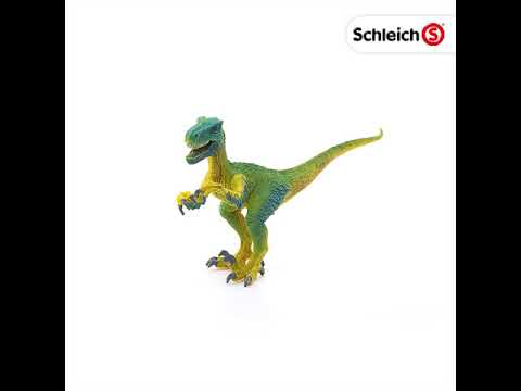 Schleich: Velociraptor