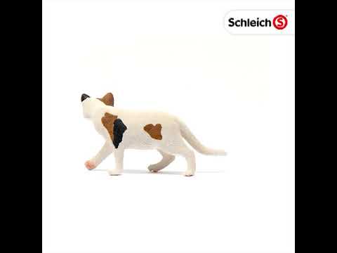 Schleich: American Shorthair Cat