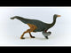 Gallimimus