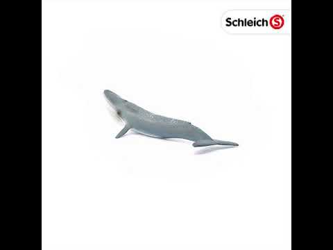 Schleich: Blue Whale