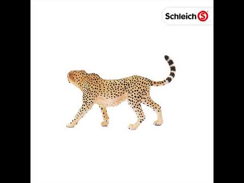 Schleich: Cheetah Female