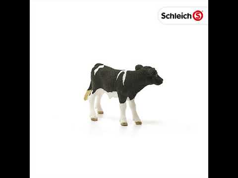 Schleich: Holstein Calf