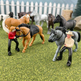 Horses & Riders TOOB®