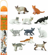 Domestic Cats TOOB®