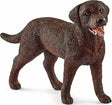 Labrador Retriever Female