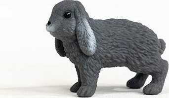 Lop-Eared Rabbit