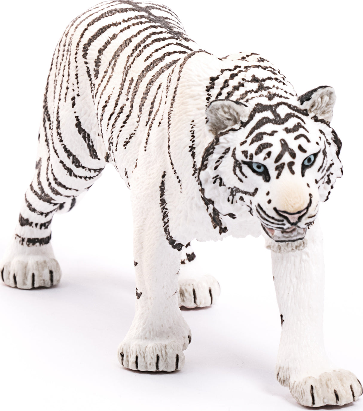 Tiger, White