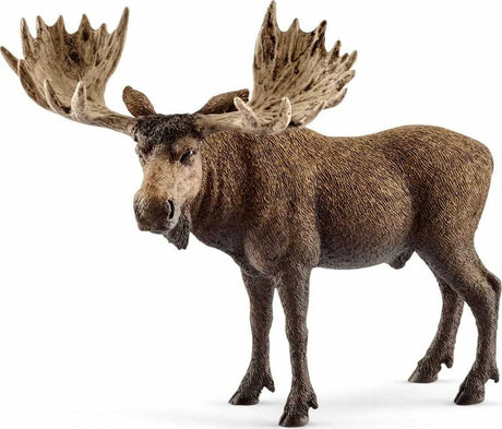 Moose Bull