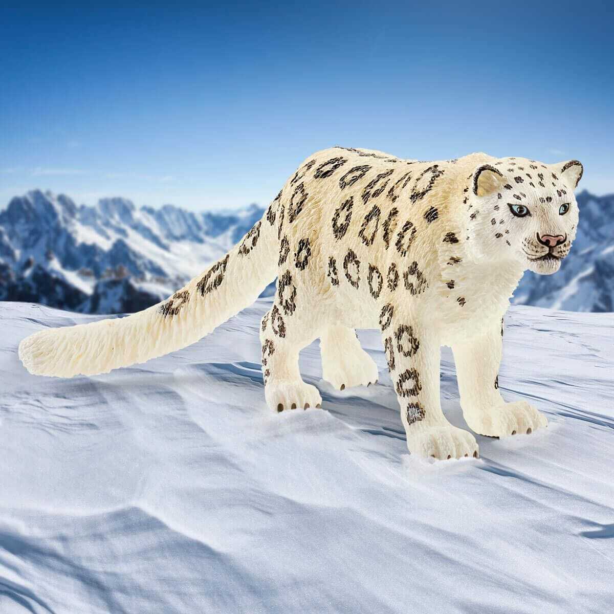 Snow Leopard