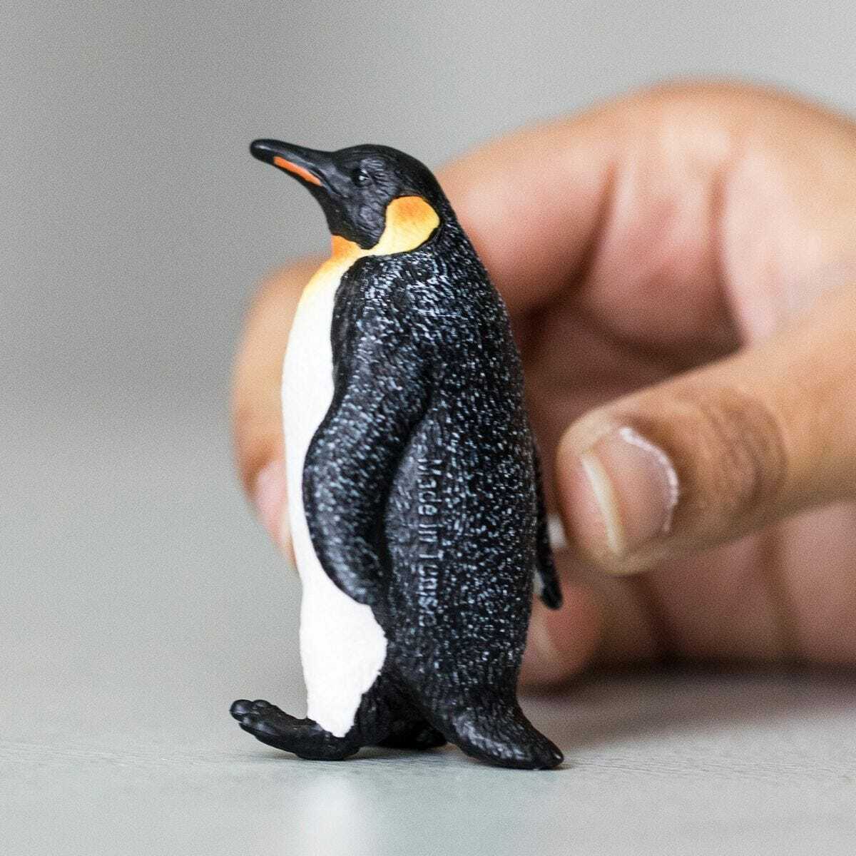 Emperor Penguin