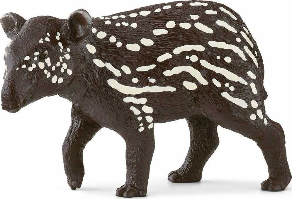 Tapir Baby