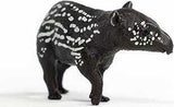 Tapir Baby