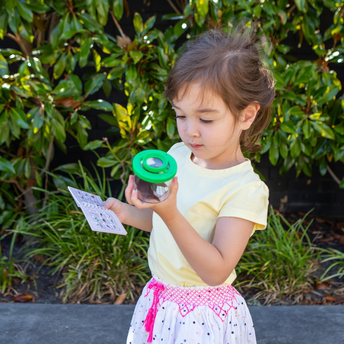 Tiger Tribe Bug Spotter Kit