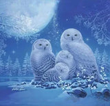 Owls in the Moonlight 500 pc Glow in the Dark Puzzle