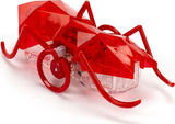 Hexbug Micro Ant