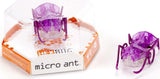 Hexbug Micro Ant