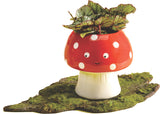 Kawaii Mushroom Planter- Small