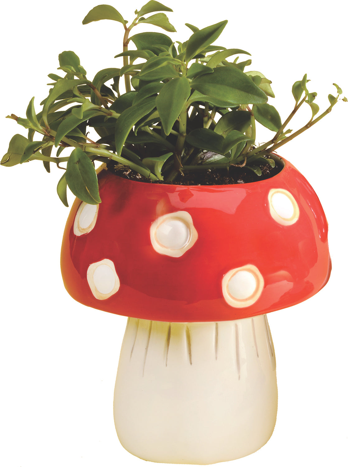 Mushroom Planter- Medium