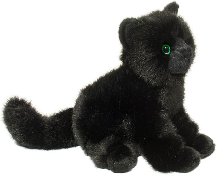 Salem Black Cat