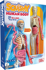 Smart Lab Squishy Human Body