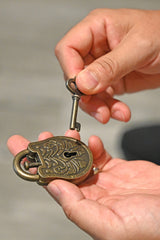 True Genius Lock & Key Puzzles