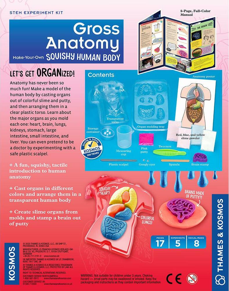 Gross Anatomy: Make-your-own Squishy Human Body