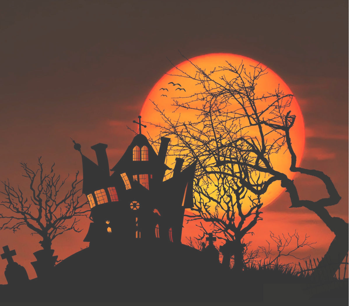 Something’s stirring in the forest. Dragons are waking, wands are glowing, and the costume trunk is wide open. This is our Halloween edition: The Enchanted Forest After Dark.

