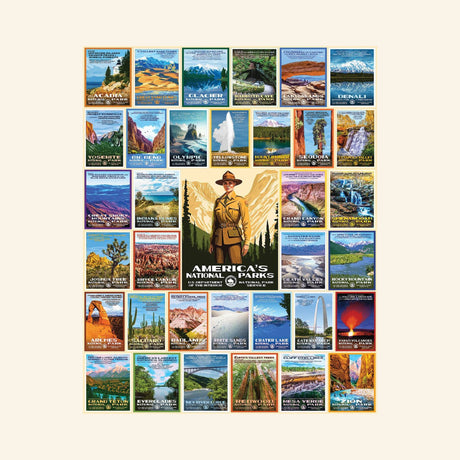 Included bonus poster featuring the complete National Park Posters artwork for reference while assembling the 1000-piece puzzle.