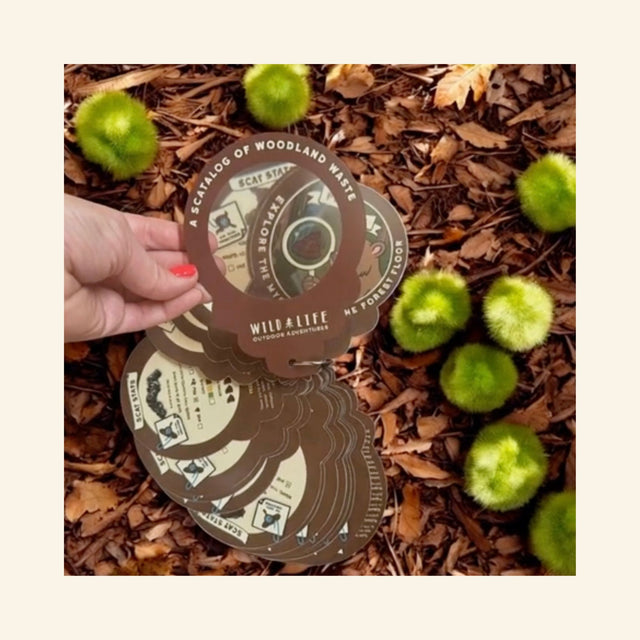 Wild Life Poo Clues flip-card guide held outdoors over wood chips and green seed pods, showing the round scat identification cards being used during nature exploration.